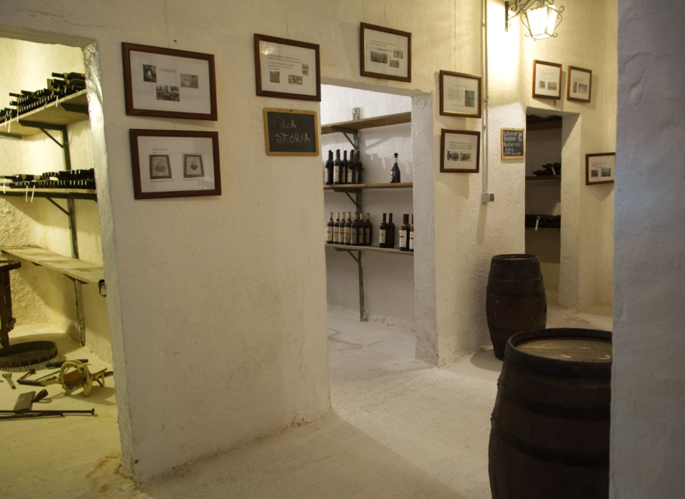 museo del vino Manduria